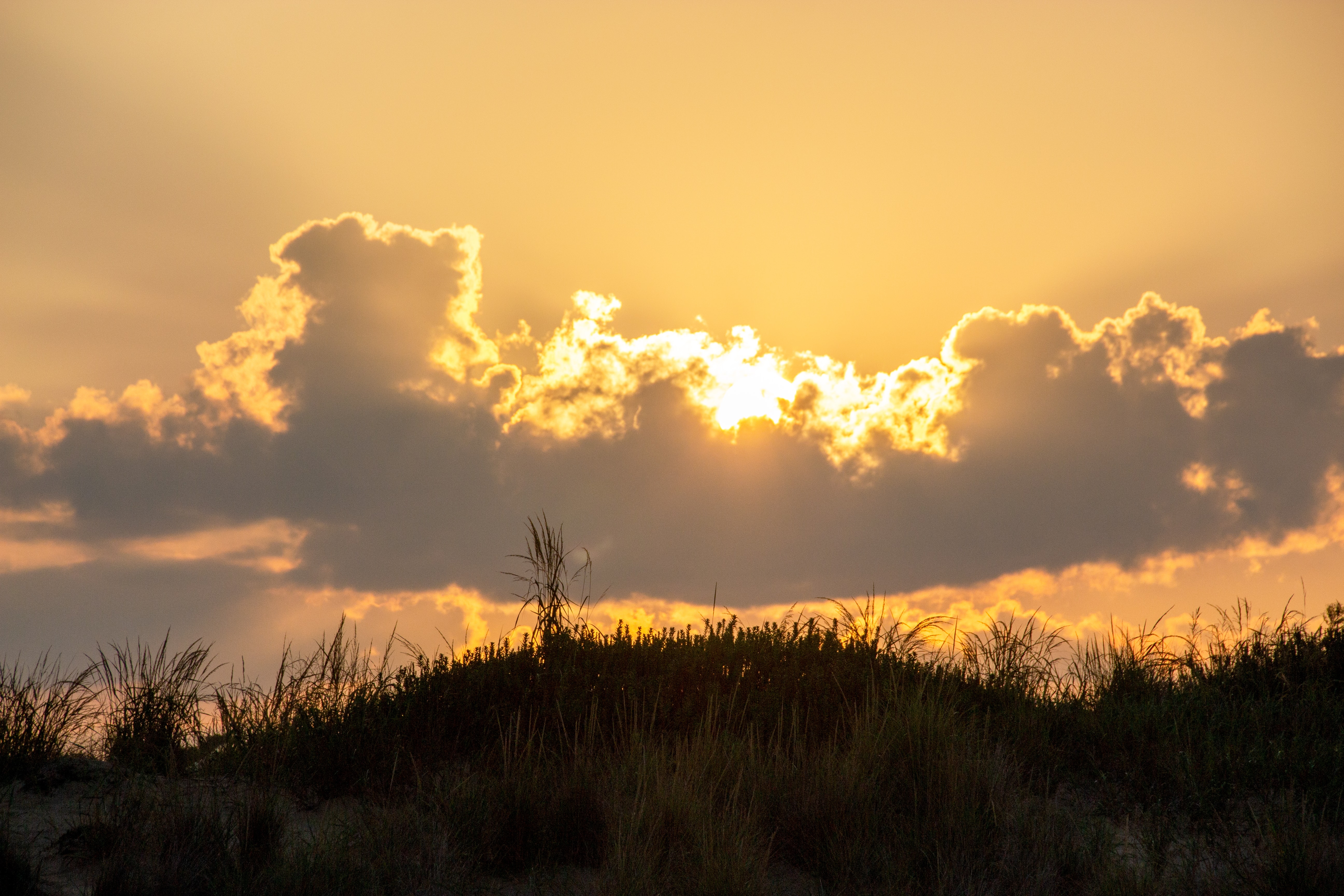 Golden sunlight behind clouds on grass, First Landing State Park, Shore Drive, Virginia Beach, VA, USA