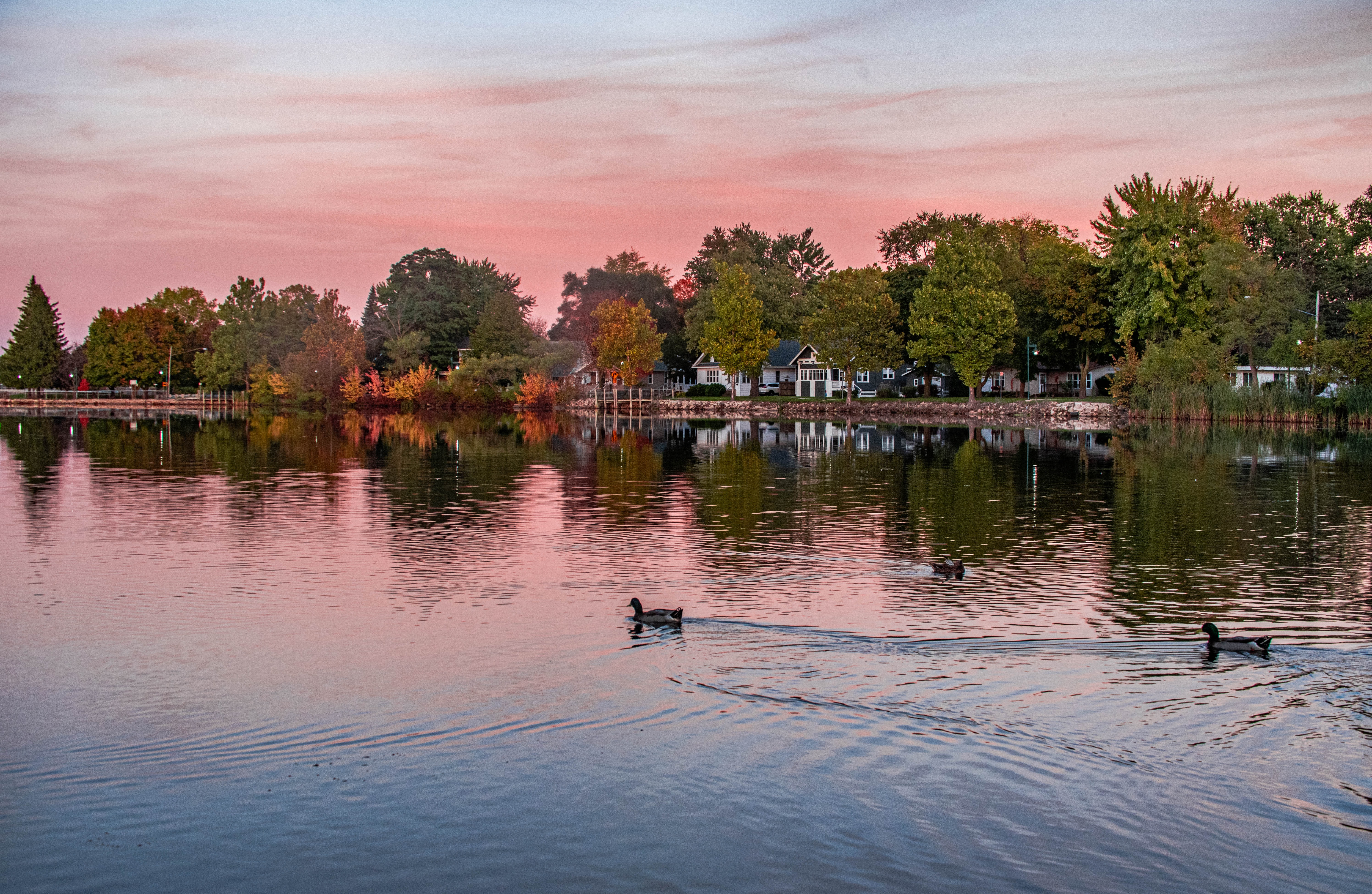 Vermillion sky over two ducks gliding on the Pine River in Alma Michigan, USA