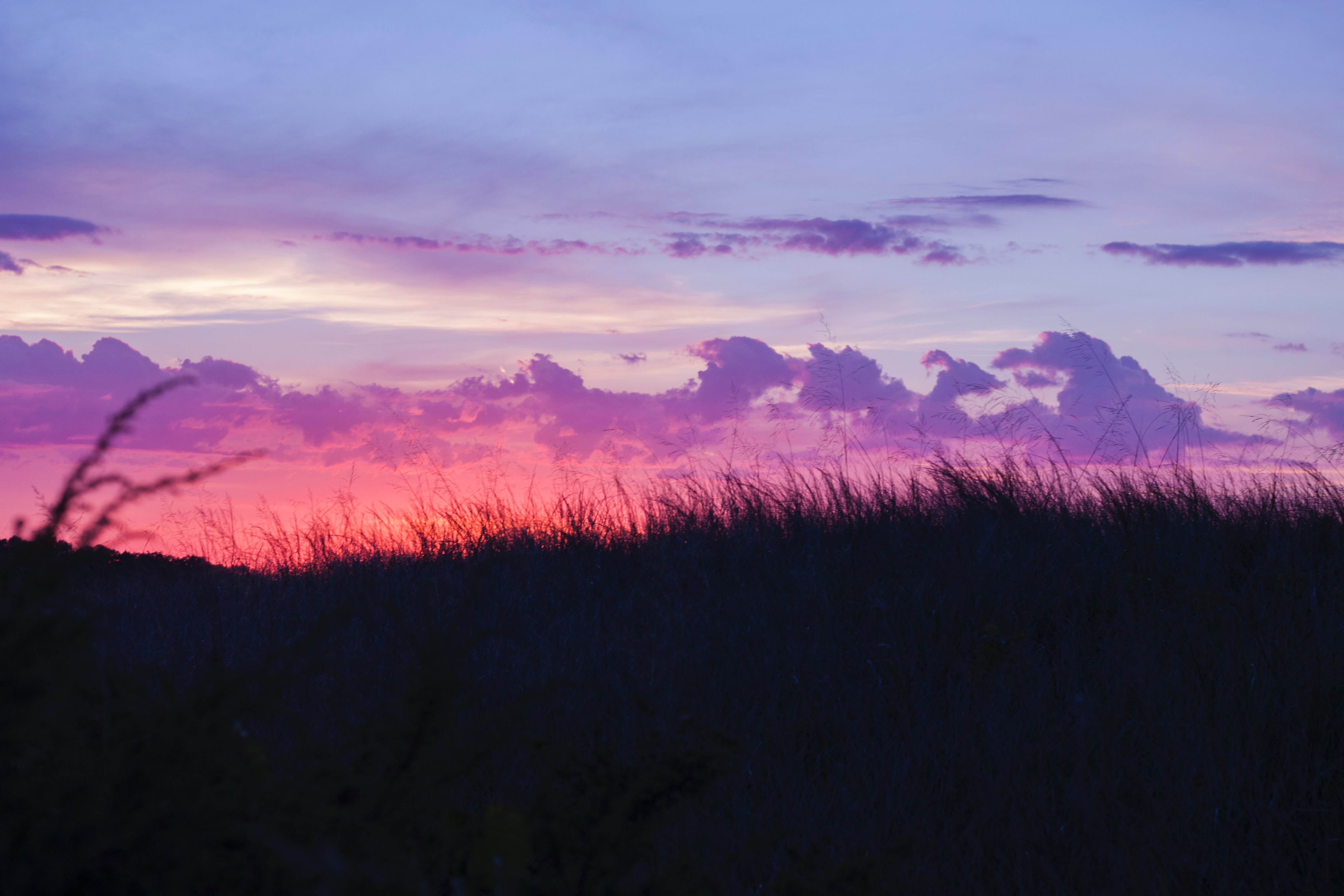Purple Clouds over Indiana Dunes, Indiana, USA