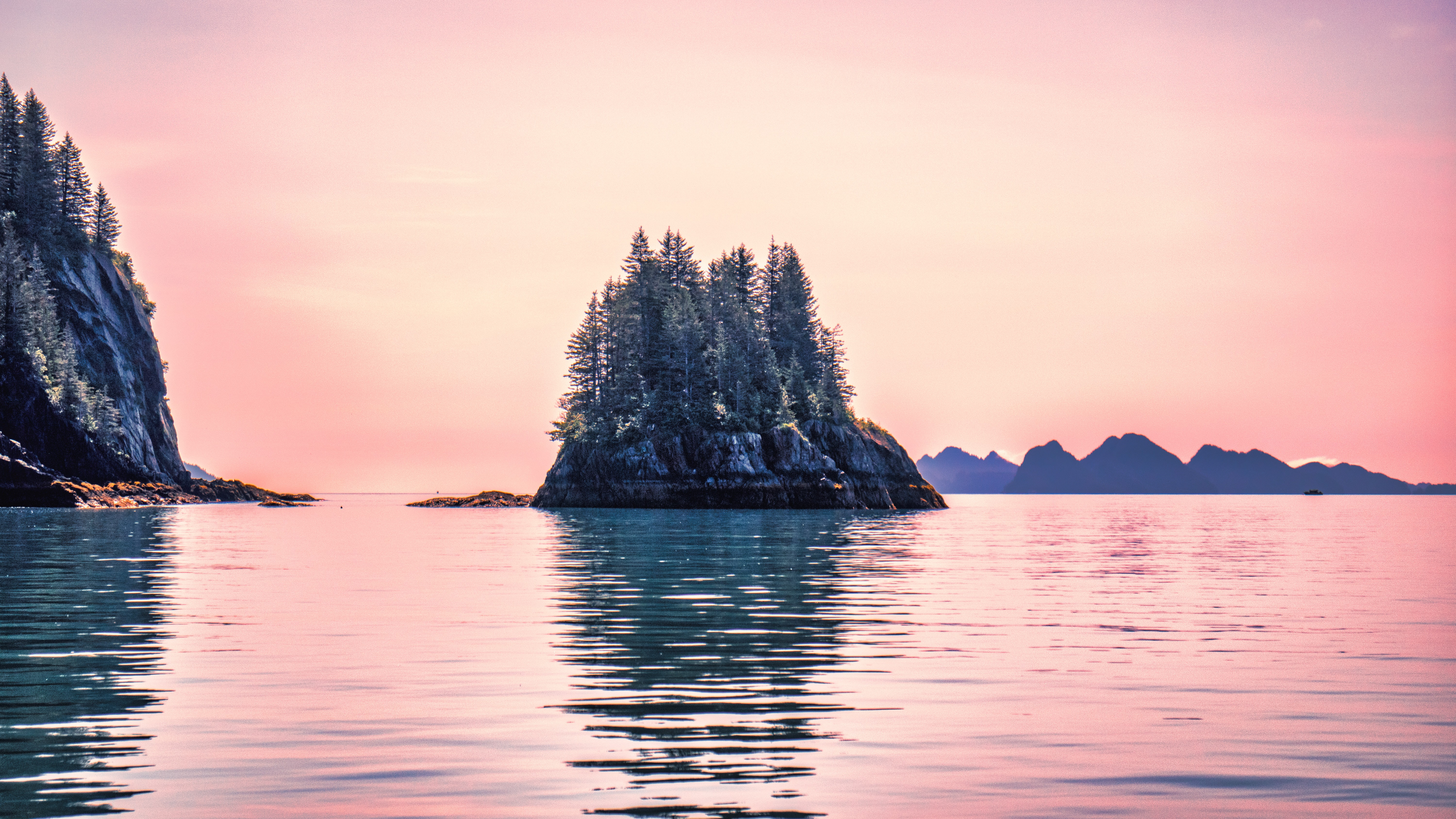 Lavender sky over pines growing on rock, Kenai Fjords, Seward, Alaska, USA